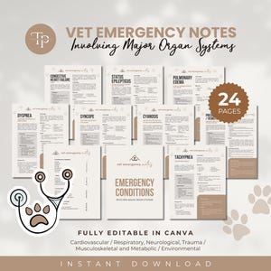 May include: A white ceramic mug with a black handle and the text "But First, Coffee" in a bold, black font. The mug is set against a neutral background, highlighting its simple design.