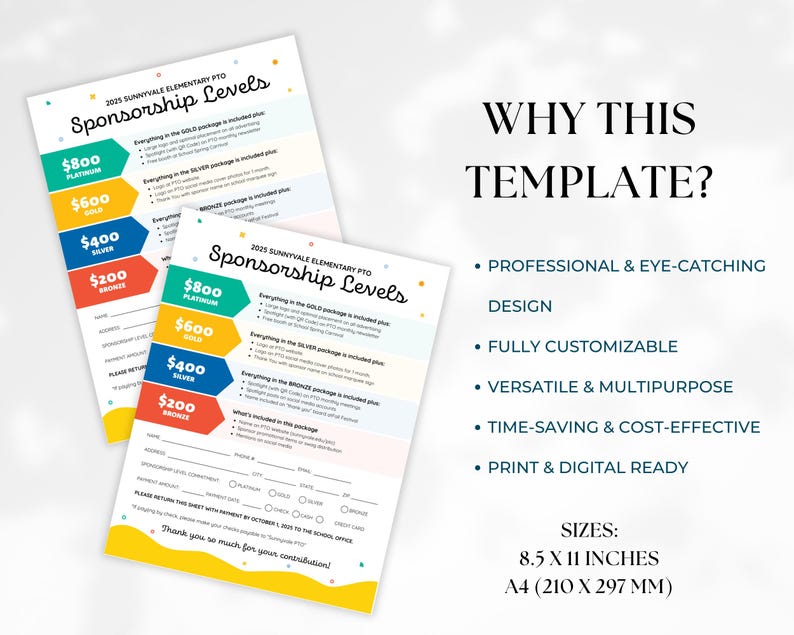 May include: A printable sponsorship levels chart for a school's PTO. The chart features four sponsorship levels: Platinum, Gold, Silver, and Bronze. Each level has a corresponding dollar amount and a list of benefits. The chart is designed in a colorful and eye-catching style.