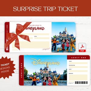 Printable Surprise Disneyland Ticket, Editable Theme Park Ticket Template, Canva Disney Ticket Reveal Gift Surprise, Instant Download PDF