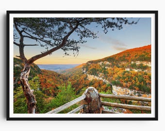 Cloudland Canyon Photo Print, Georgia Wall Art, Autumn Canyon Poster