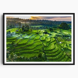 Peut inclure: Une impression encadrée présentant une vue aérienne vibrante de rizières verdoyantes. Le paysage comprend des champs en couches, des palmiers et une atmosphère brumeuse, avec un lever de soleil doré en arrière-plan. L'œuvre est encadrée en noir.