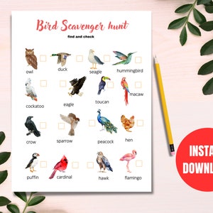 Búsqueda del tesoro en la naturaleza de aves imprimible Actividad de observación de aves para niños, Estudio de la naturaleza, Actividad preescolar de viaje de campo para niños pequeños