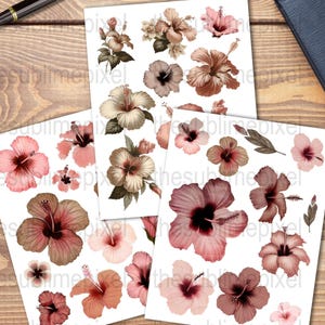 Hibiscus Flower Clipart Set: Pink Beige Botanical Ephemera (JPG Digital Download)  A0284