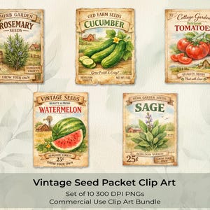 Digital Download PNG Clipart Set Watercolor Garden Illustrations Vintage Seed Packet Design Heirloom Vegetables Flowers Botanical Art Collection Farmhouse Scrapbook Crafting Elements Nostalgic Style Graphics Instant Access Files Perfect
