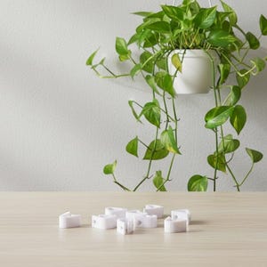 May include: A white ceramic hanging planter with a green pothos plant. Small, white, rectangular objects are on a light wood surface. The background is a light grey wall.