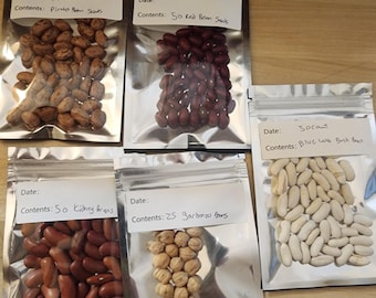 Heirloom Bean Seed Variety Pack – Kidney, Pinto, Garbanzo, Blue Lake Bush Beans, Red Beans