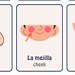 Flashcards Bilingual Parts of the Body Spanish and English Digital - Etsy