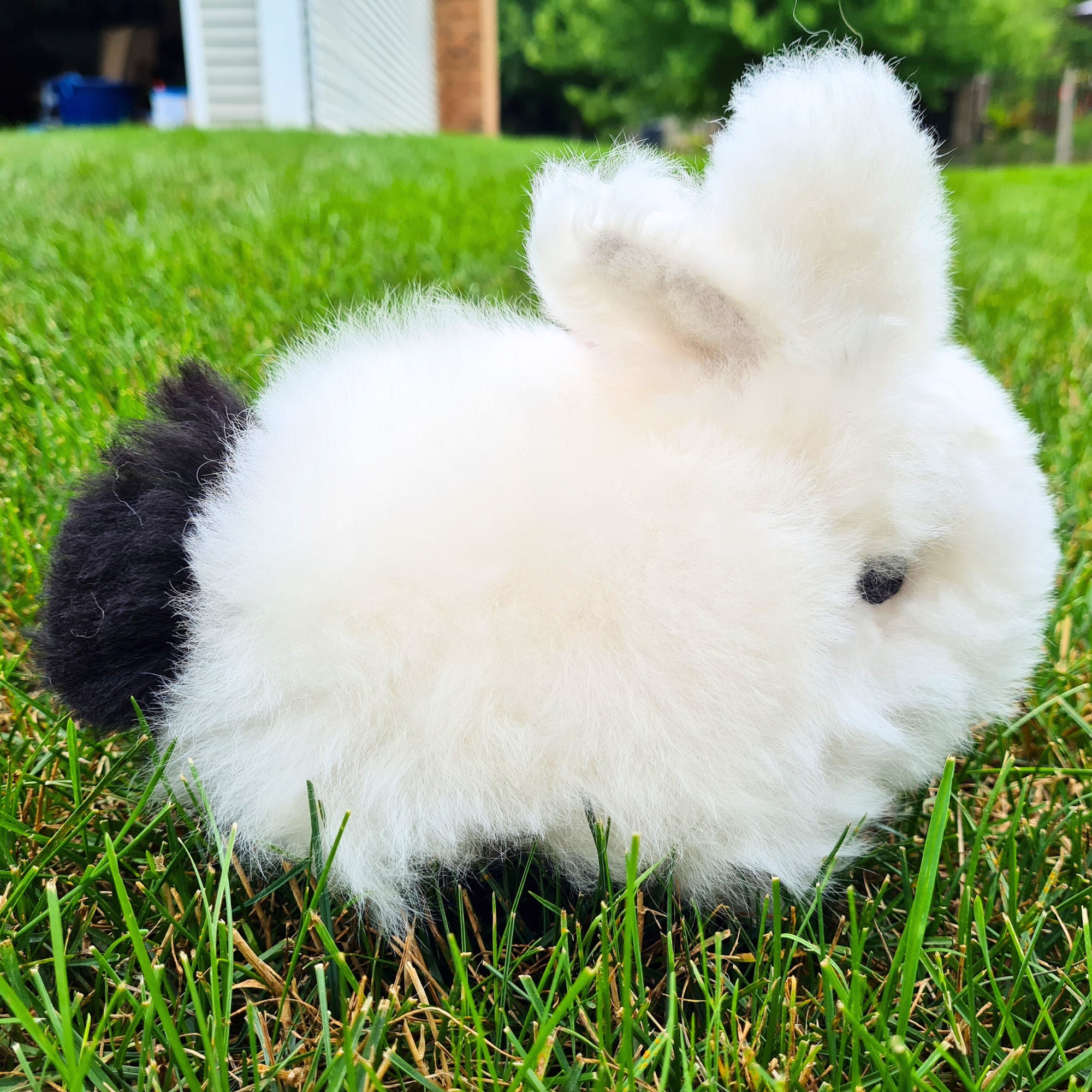 Little Rabbit Alpaca Fur Toy - Etsy
