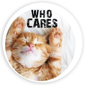 Cat Sleeping Funny Who Cares Sticker Gift Cute Kitten Pet Animal Nature Sarcastic Humor