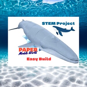 Może przedstawiać: Jasnoszary papierowy model wieloryba o segmentowej budowie ciała. Obraz zawiera tekst STEM Project, PAPER Models World oraz EASY Build, a także małą grafikę ciemnoniebieskiego wieloryba na białym tle z efektem wody.