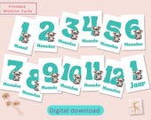 Baby Milestone Cards Printable | Turquoise Green Koala Theme | Monthly Baby Cards | Baby Shower Gift | Instant Download | PDF + PNG