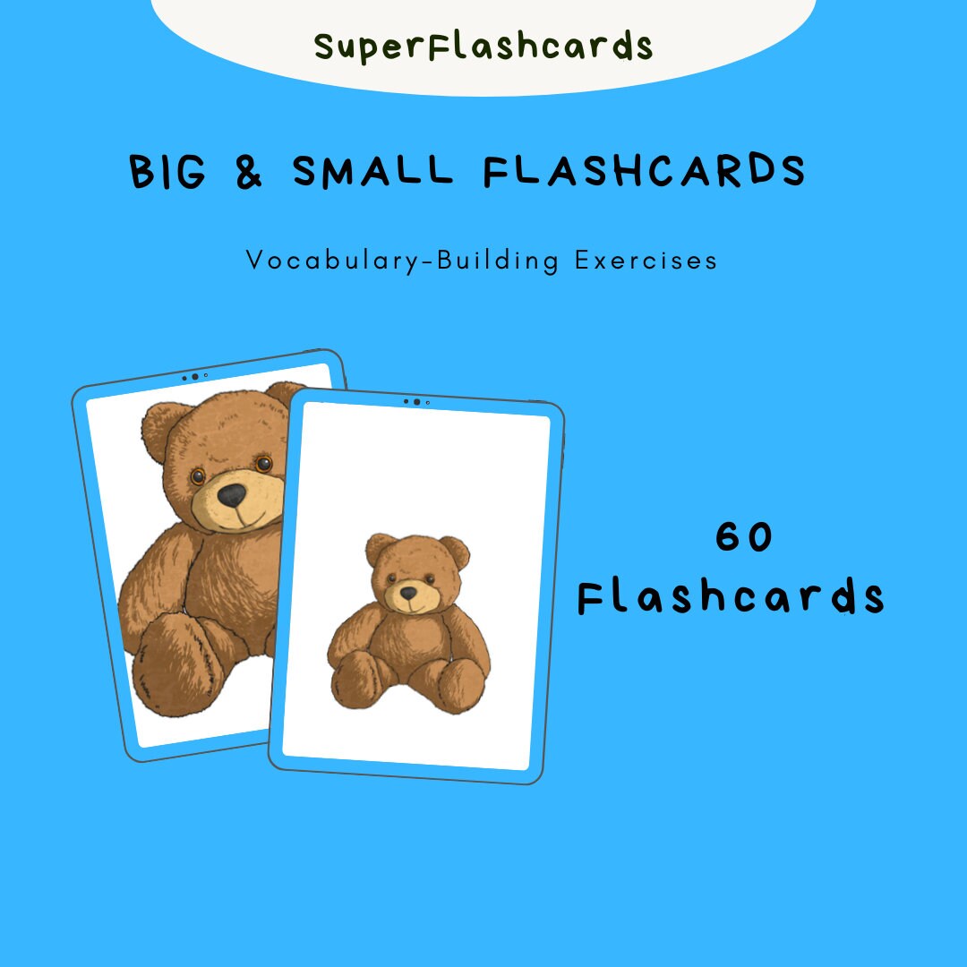 Editable Big &amp; Small Adjectives Vocabulary Building Flashcards - Etsy