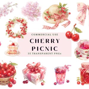 Watercolor Cherry Themed Niji Clipart Pink Red Cherries Cherry Picnic Graphic Bundle Stickers Sublimation Commercial Use Digital PNG