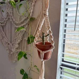 mini macrame plant hanger!