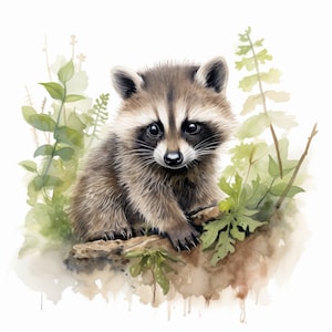 Puede incluir: Ilustración en acuarela de un mapache sentado en un tronco rodeado de follaje verde. El mapache tiene un pelaje marrón y gris con una máscara negra y ojos grandes y oscuros. La obra de arte tiene un aspecto suave y natural.