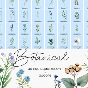 Botanical Clipart Watercolor Green 40 PNG Watercolor Elements Bloom Clipart Botanical Clipart Leaf Green Grass Digital Print