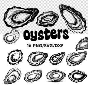 May include: Black and white illustration of various oyster shells. The word "Oysters" is displayed in large, bold letters. Text below reads "16 PNG/SVG/DXF".