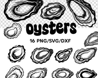 Oysters SVG\PNG bundle Clipart style Vector Clipart Oysters SET 16 png Oysters bundle Prints Oyster Shell Png