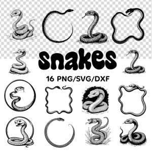 Pacote de cobra SVG\PNG Moldura de cobra dxf Clipart vetorial Cobra cricut SET 16 svg Clipart de cobra Uso comercial
