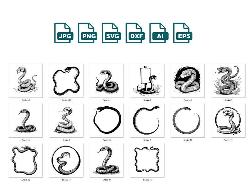Snake Photo Frame Snake SVG Bundle: Frames, Vector Clipart (commercial Use) - Etsy
