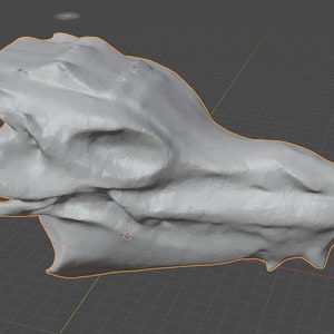 STL - Dragon Skull 3D File for printing - This dragon skull was created in Blender - Use for any purpose or modify it to your needs.