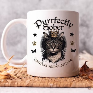 AA Sobriety Mug for Sober Cat Lovers 1 Year Clean Alcholics Anonymous aa Narcotics Anonymous NA gift mug for Celebrate Recovery