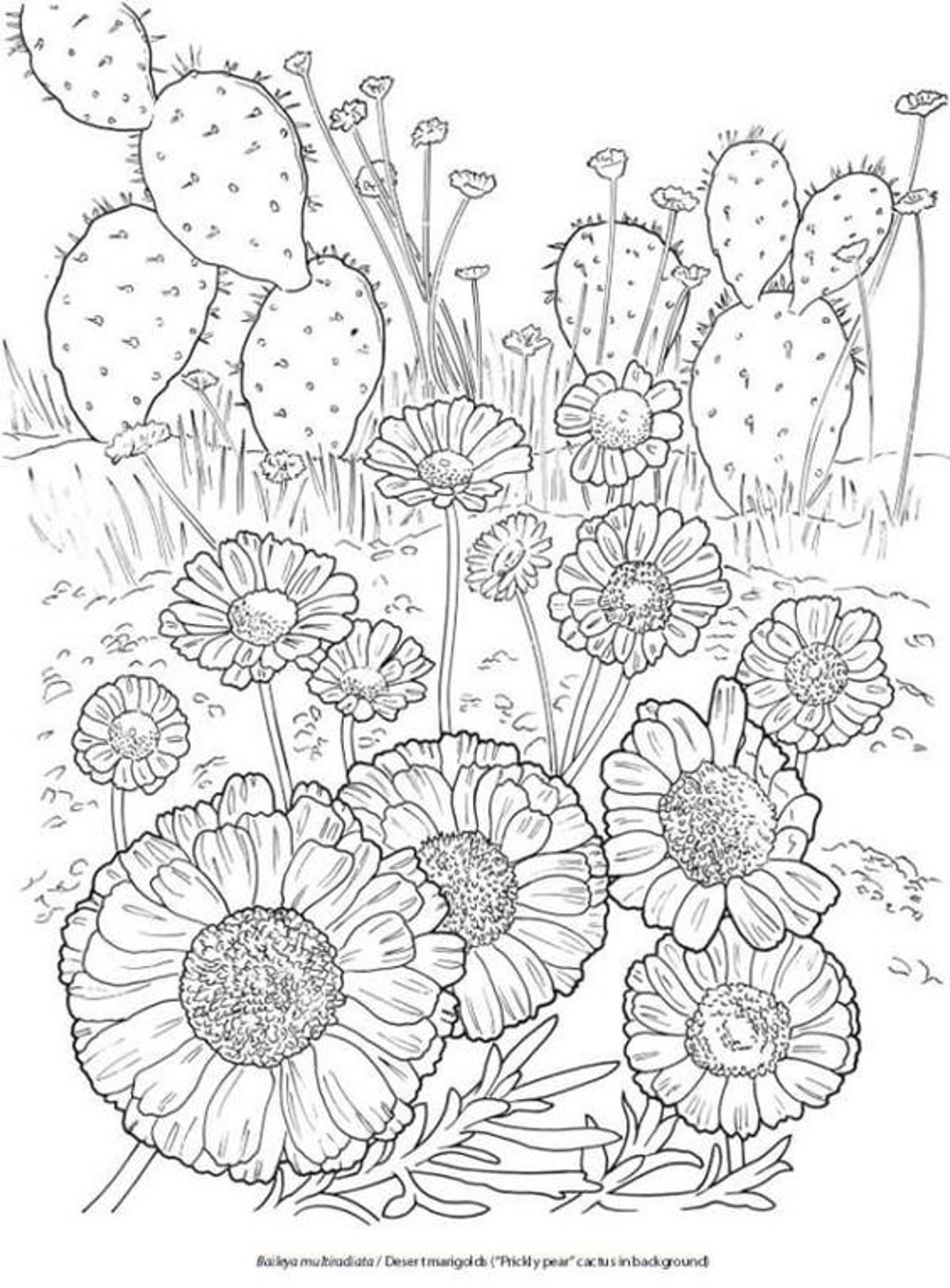Wellness Colouring Pages - Etsy