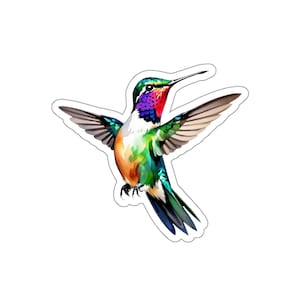 Adesivo colibrì acquerello - adesivo in vinile per laptop, riviste, pianificatori, cancelleria