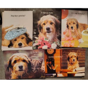May include: A collection of greeting cards featuring adorable dogs. The cards have various themes, including birthdays and get-well wishes. One card reads "Dog days gottcha?" and another says "It's your Birthday!"