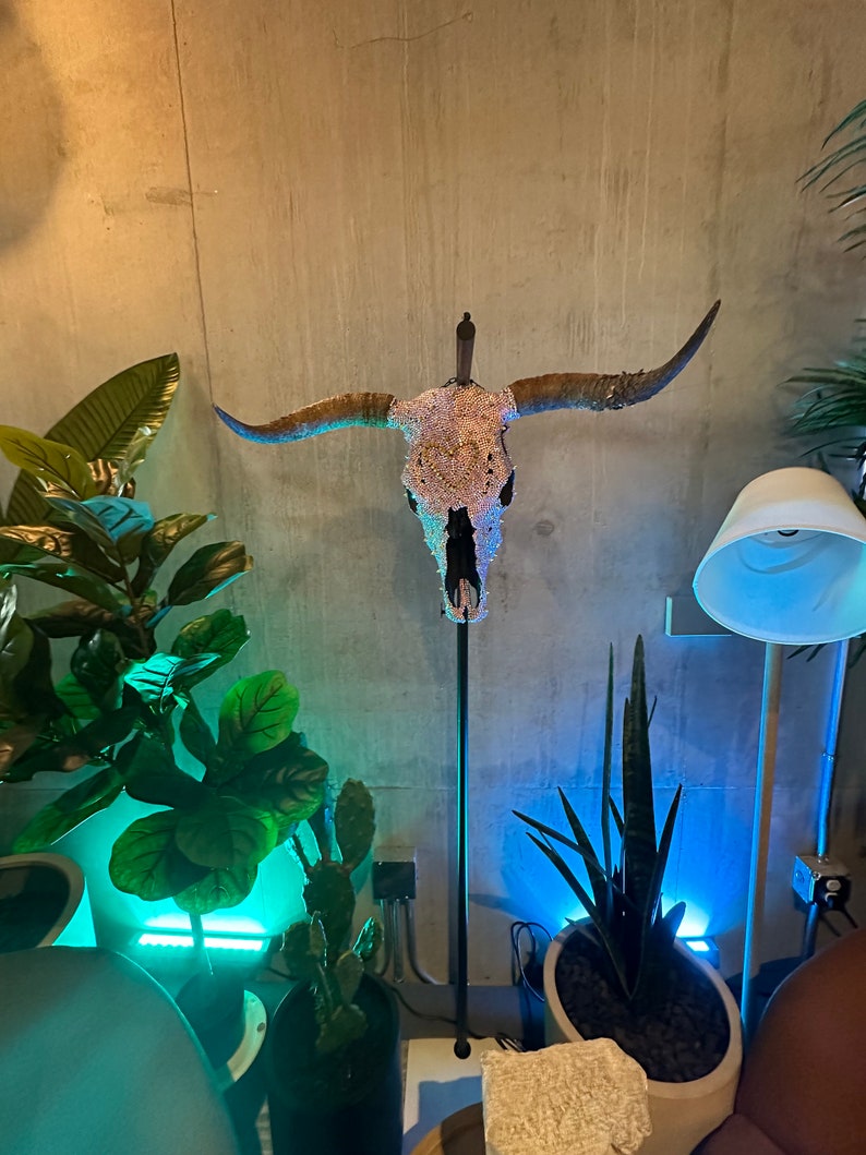 Crystal Cow Skull Etsy