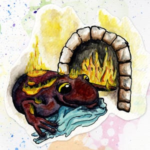 Salamander gets Cozy 5&quot;x7&quot;