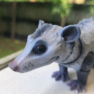 Articulated Opossum - painted