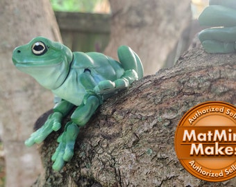 White's tree frog - Articulated toy - Painted
