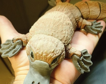 Australian Platypus- Articulated toy - Painted