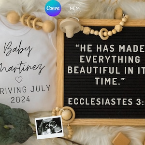 Ecclesiastes Religious Baby Announcement, Digital Pregnancy Announcement, Scripture, Onesie Board, Social Media Reveal, Template, Sonogram