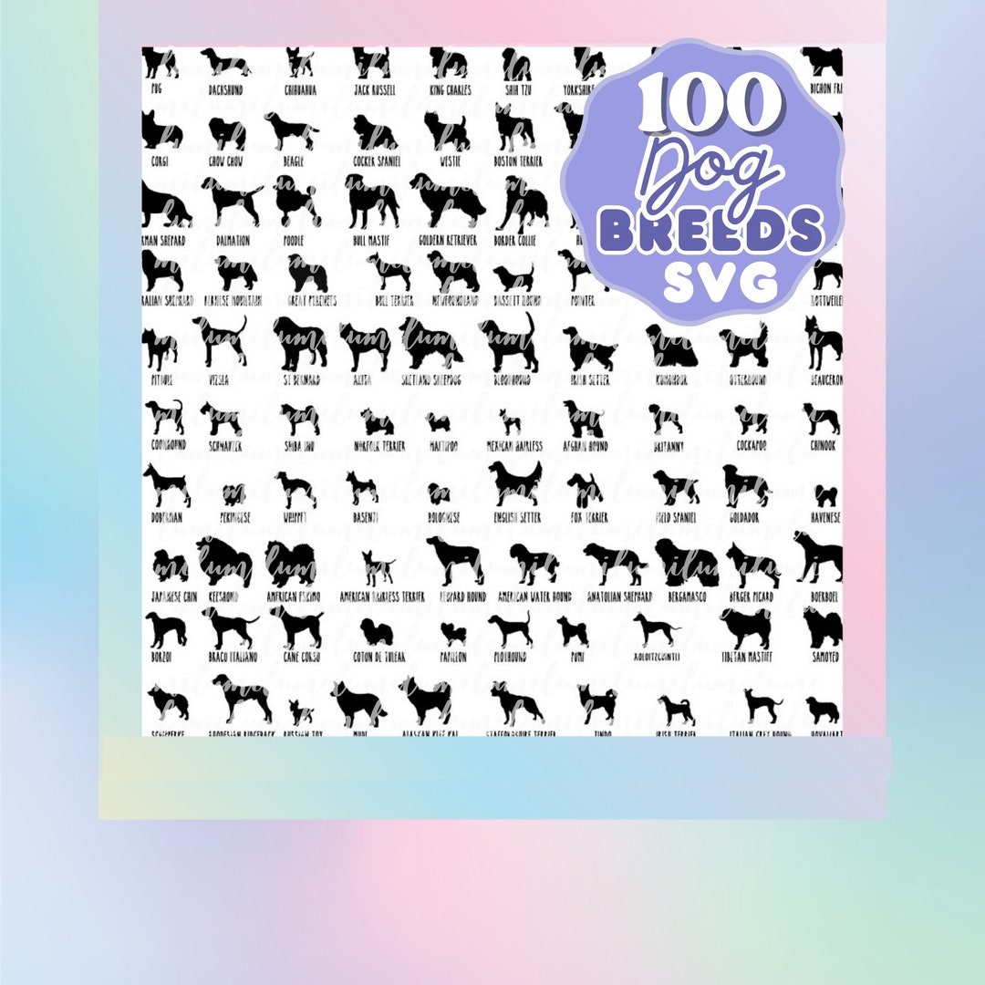 Dog Breeds SVG Bundle Files Svg Bundle Clipart Cricut Svg Bundle Dog ...