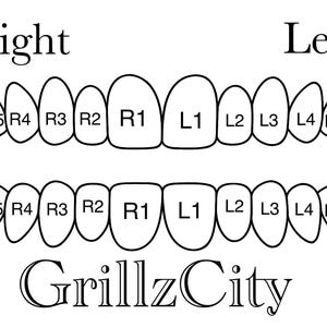 May include: A black and white diagram of two rows of teeth, labeled with numbers and letters. The top row is labeled "Right" and "Left". The bottom row has the text "GrillzCity".