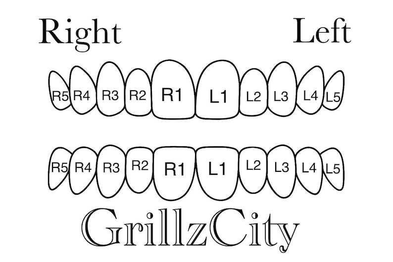 May include: A black and white diagram of two rows of teeth, labeled with numbers and letters. The top row is labeled "Right" and "Left". The bottom row has the text "GrillzCity".