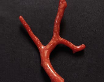 Natural Italian Red Coral Branch Gemstone, Polished Tree Branch Pendant, 16.30 Carat