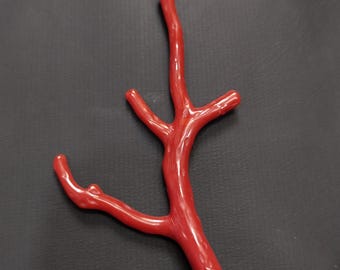 Italian Red Coral Branch: Polished Natural Gemstone for Jewelry Making