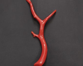 Rare Antique Red Coral Branch: Undyed Gemstone, 11.20 Carat