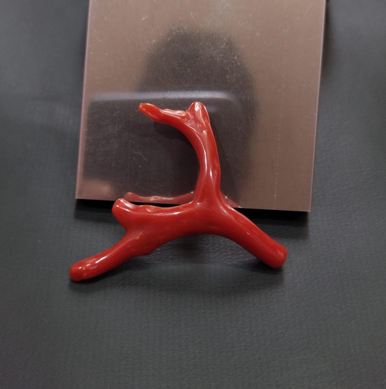 May include: A bright red coral branch with a smooth, glossy surface. The coral features several curved arms and a natural, organic form. The piece is set against a plain backdrop, emphasizing its vivid colour and texture. This decorative coral is a unique accent piece.