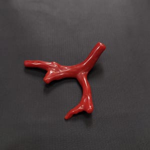 May include: A bright red coral branch with a smooth, shiny surface. The coral has a natural, branching form, with several projections and bends. The colour is a rich, intense red, and the overall shape is organic and uneven.