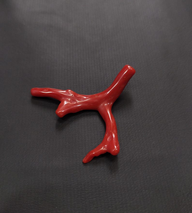 May include: A bright red coral branch with a smooth, shiny surface. The coral has a natural, branching form, with several projections and bends. The colour is a rich, intense red, and the overall shape is organic and uneven.