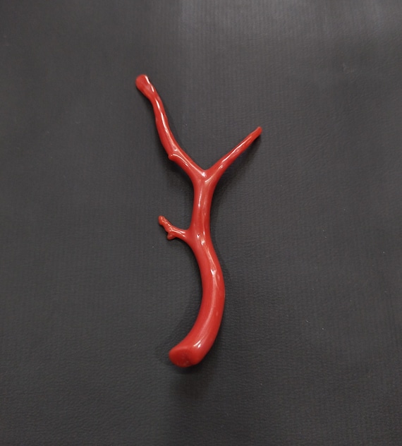 Rare Antique Red Coral Branch: Undyed Gemstone, 11.20 Carat