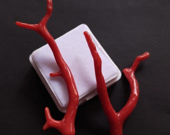 Branche De Corail Rouge Naturel Italien - Pierre Précieuse De 50 Carats, Qualité Excellente