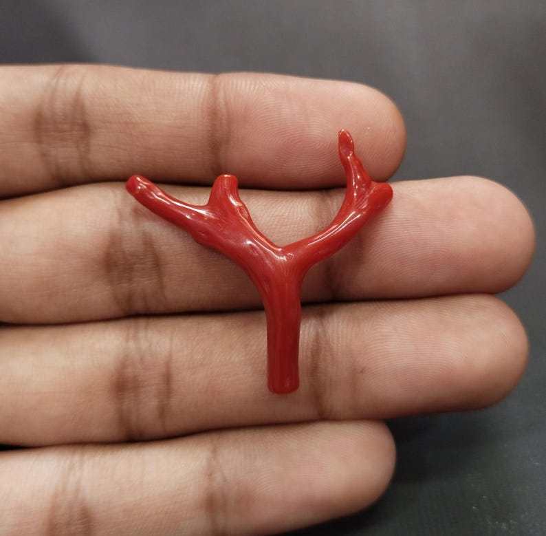 May include: A vivid red coral branch, displaying a Y-shaped form with several extensions. The coral's polished surface reflects light, accentuating its natural shape. The image is a close-up, highlighting the intricate details of the coral.