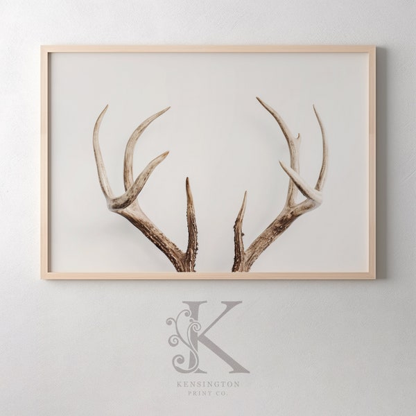 Modern Deer Antlers Photo Painting Artistic Wall Art Print | DIGITAL Art | Modern PRINTABLE Digital Download | KE_10574