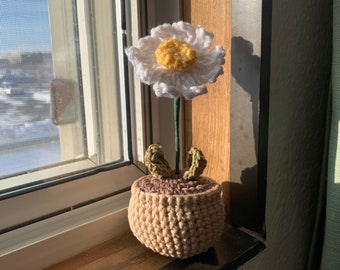 Crochet Daisy In Pot