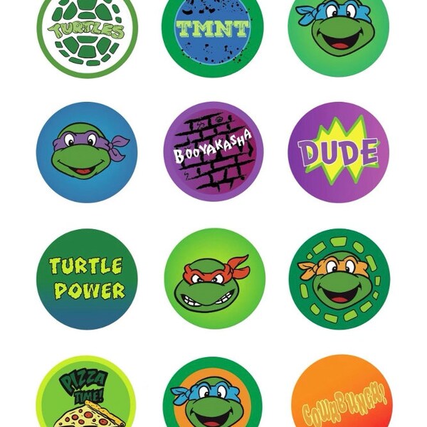 Ninja turtles 6 inch or  8 inch birthday cake topper & 12 pcs Cup cake toppers